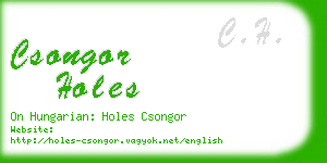 csongor holes business card